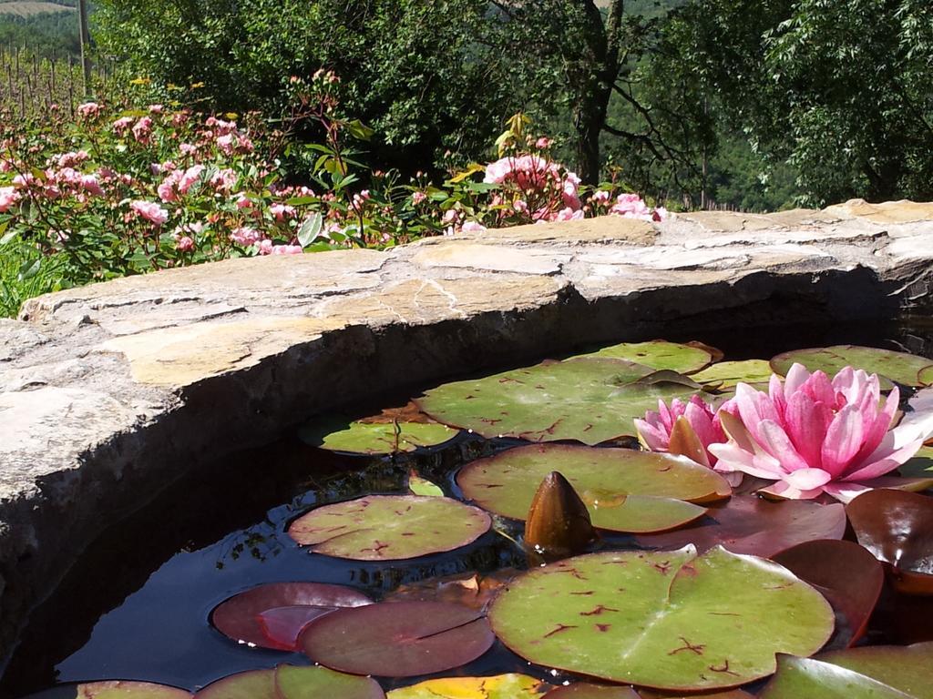 Fattoria Poggerino Bed & Breakfast Radda in Chianti Room photo